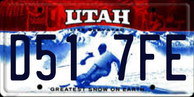 UT license plate D517FE
