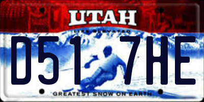 UT license plate D517HE