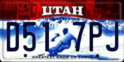UT license plate D517PJ