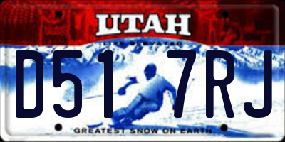 UT license plate D517RJ