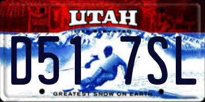 UT license plate D517SL