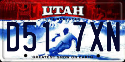 UT license plate D517XN