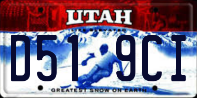 UT license plate D519CI