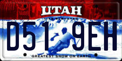 UT license plate D519EH