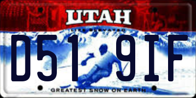 UT license plate D519IF