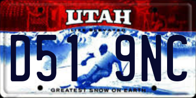 UT license plate D519NC