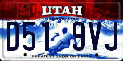 UT license plate D519VJ