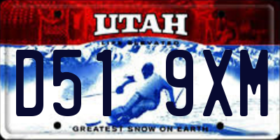 UT license plate D519XM