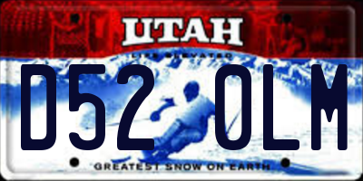UT license plate D520LM