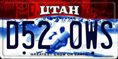 UT license plate D520WS