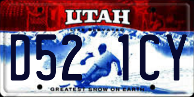 UT license plate D521CY