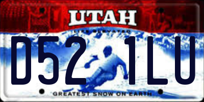UT license plate D521LU