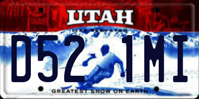 UT license plate D521MI