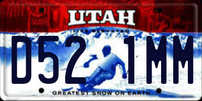 UT license plate D521MM