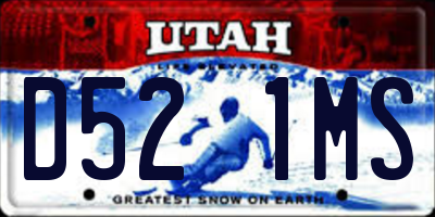 UT license plate D521MS