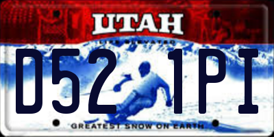 UT license plate D521PI