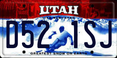 UT license plate D521SJ