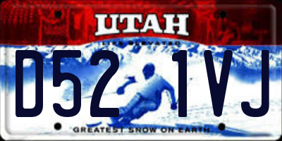 UT license plate D521VJ