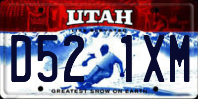 UT license plate D521XM