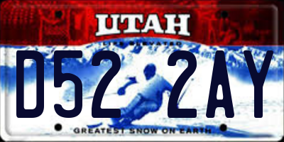 UT license plate D522AY