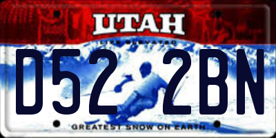 UT license plate D522BN