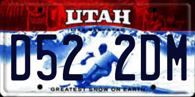 UT license plate D522DM