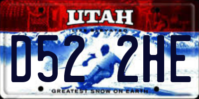 UT license plate D522HE