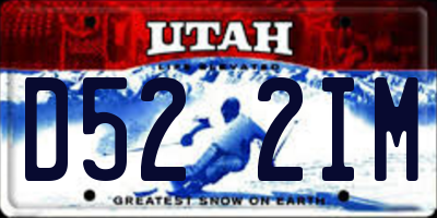 UT license plate D522IM