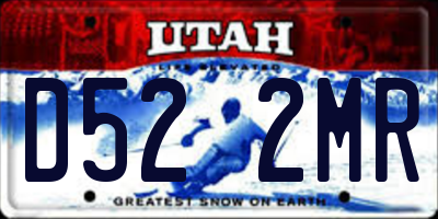 UT license plate D522MR