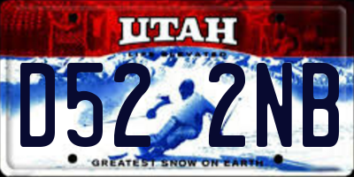 UT license plate D522NB