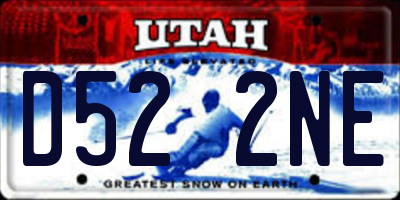 UT license plate D522NE