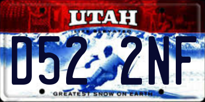 UT license plate D522NF