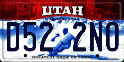 UT license plate D522NO