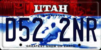 UT license plate D522NR