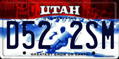 UT license plate D522SM