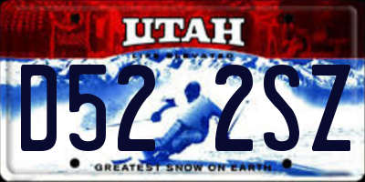 UT license plate D522SZ