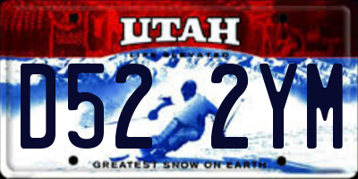 UT license plate D522YM