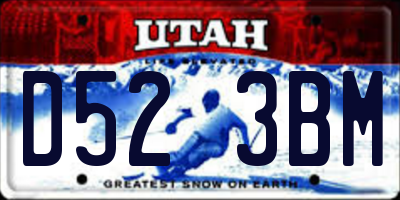 UT license plate D523BM