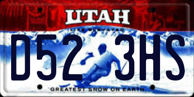 UT license plate D523HS