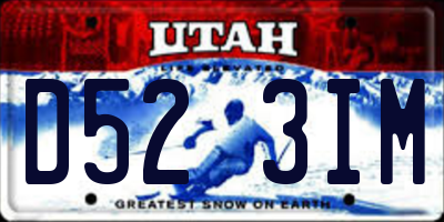UT license plate D523IM