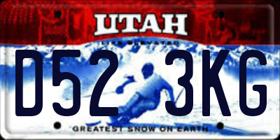 UT license plate D523KG