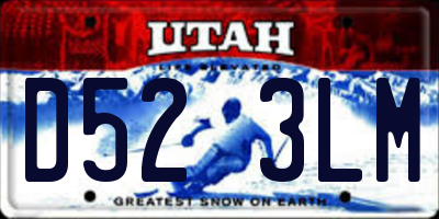 UT license plate D523LM