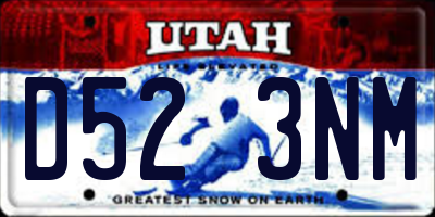 UT license plate D523NM