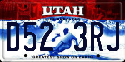 UT license plate D523RJ