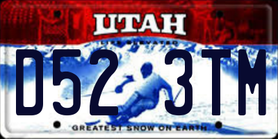 UT license plate D523TM