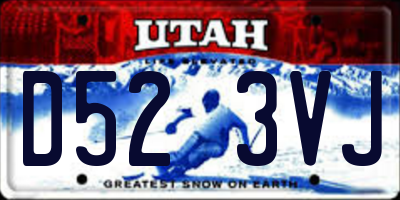 UT license plate D523VJ