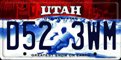 UT license plate D523WM