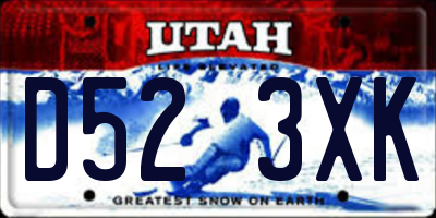 UT license plate D523XK