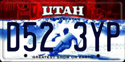 UT license plate D523YP