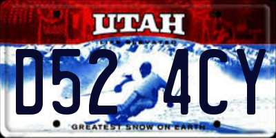 UT license plate D524CY